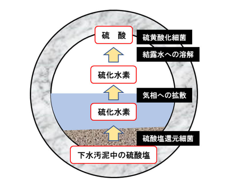 図３　下水処理施設の劣化機構
