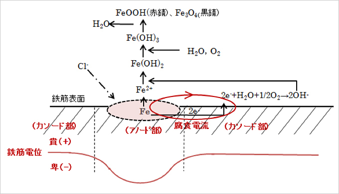 図1 鉄筋の腐食反応と腐食電流
