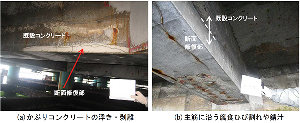 写真2　部分断面修復による補修箇所の再劣化