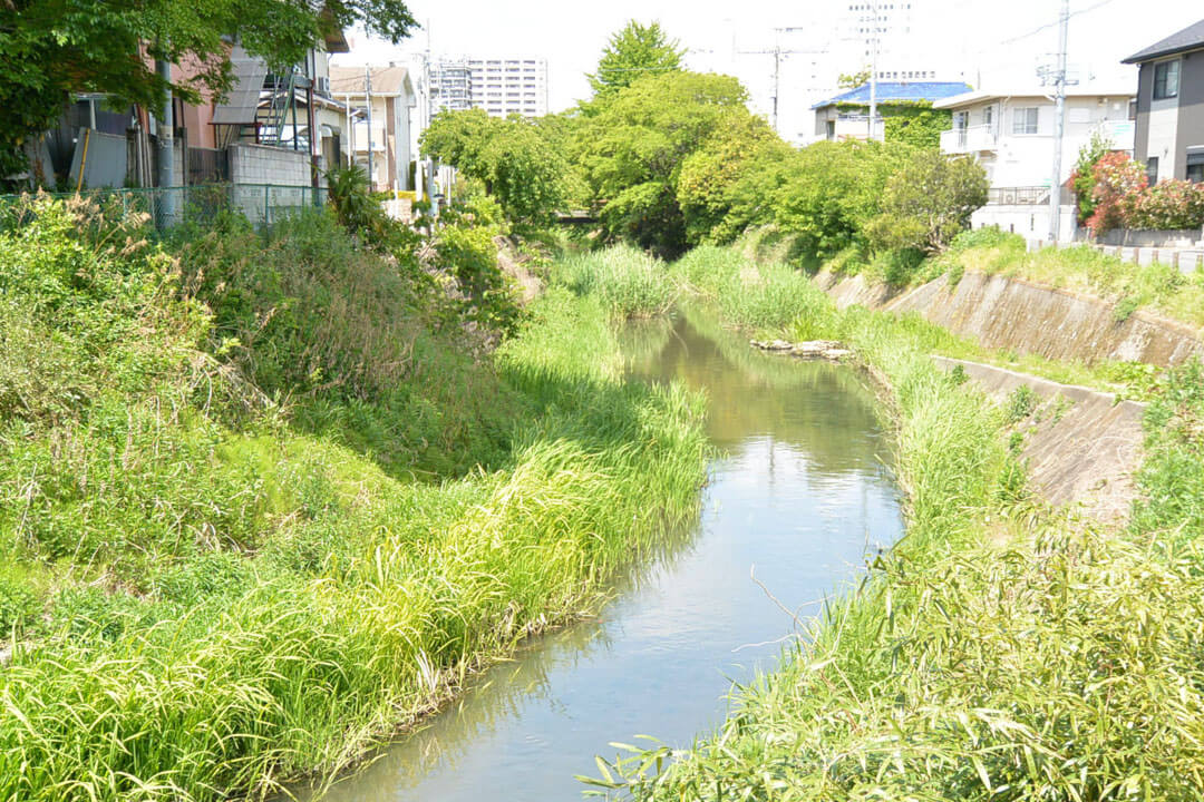 慶喜公気分で撮影した坂川
