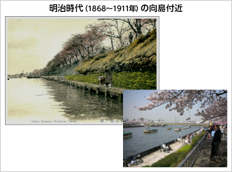 写真2）明治時代（1868〜1911年）の向島付近と現在の様子